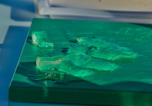 Use of aloe vera for mosquito bites